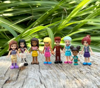 Lot de figurines Lego Friends