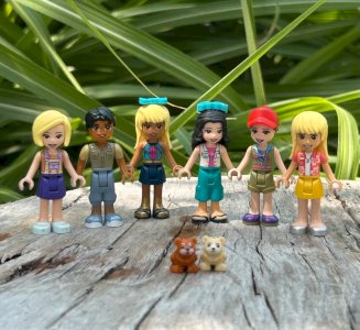 Lot de figurines Lego Friends
