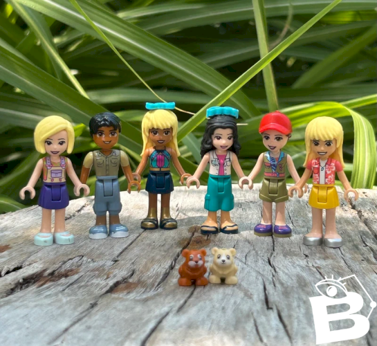 Lot de figurines Lego Friends