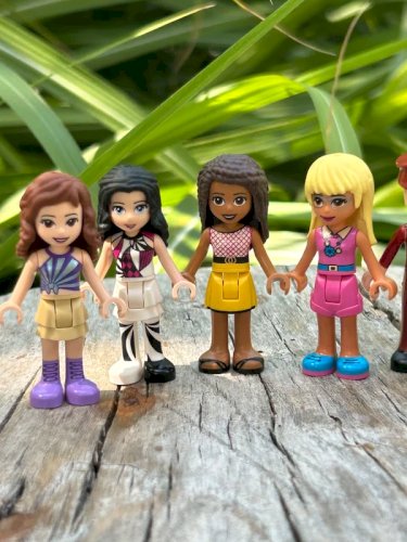 Lot de figurines Lego Friends
