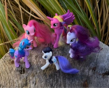 Lot de figurines Poney