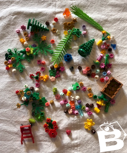 Lot de pièces de Lego pour Jardin
