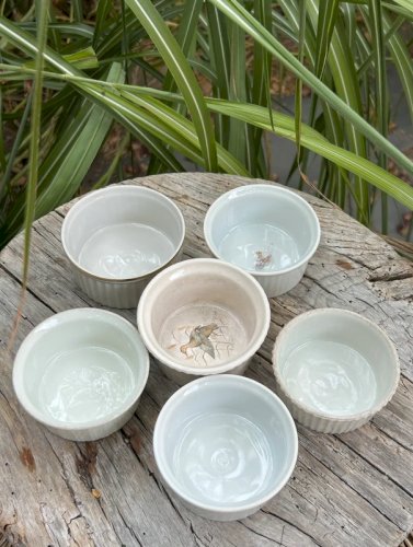 Lot de ramequins blancs en porcelaine