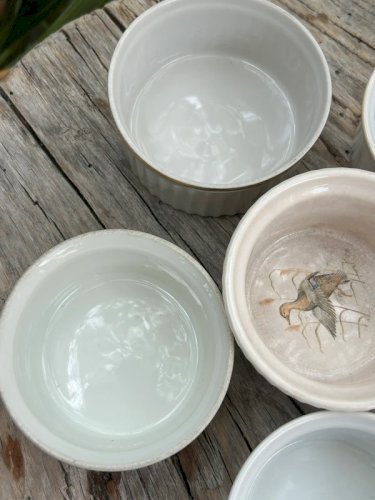 Lot de ramequins blancs en porcelaine
