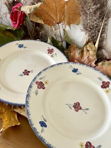 Lot n° 3 - 2 Assiettes plates Mary Lou - 22,5 cm - Digoin Sarreguemines