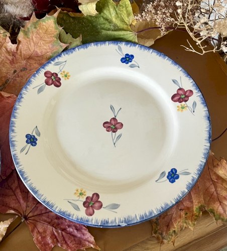 Lot n° 3 - 2 Assiettes plates Mary Lou - 22,5 cm - Digoin Sarreguemines