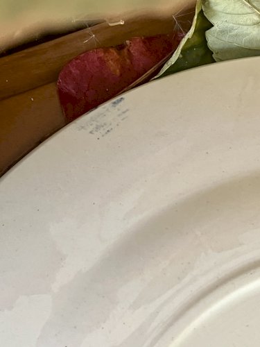 Lot n° 3 - 2 Assiettes plates Mary Lou - 22,5 cm - Digoin Sarreguemines