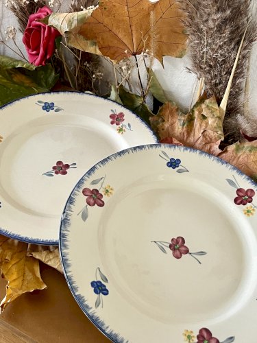 Lot n° 3 - 2 Assiettes plates Mary Lou - 22,5 cm - Digoin Sarreguemines