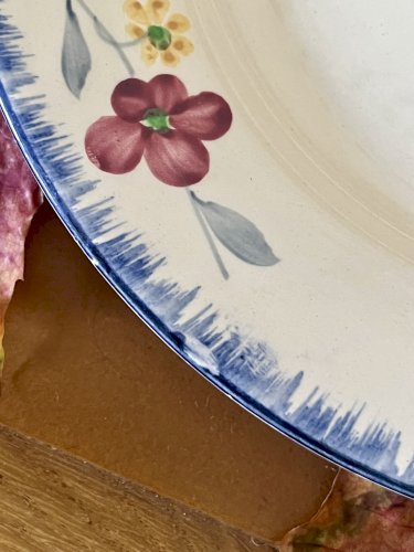 Lot n° 3 - 2 Assiettes plates Mary Lou - 22,5 cm - Digoin Sarreguemines