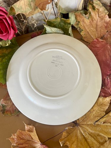 Lot n° 3 - 2 Assiettes plates Mary Lou - 22,5 cm - Digoin Sarreguemines