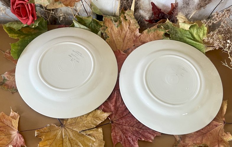 Lot n° 3 - 2 Assiettes plates Mary Lou - 22,5 cm - Digoin Sarreguemines