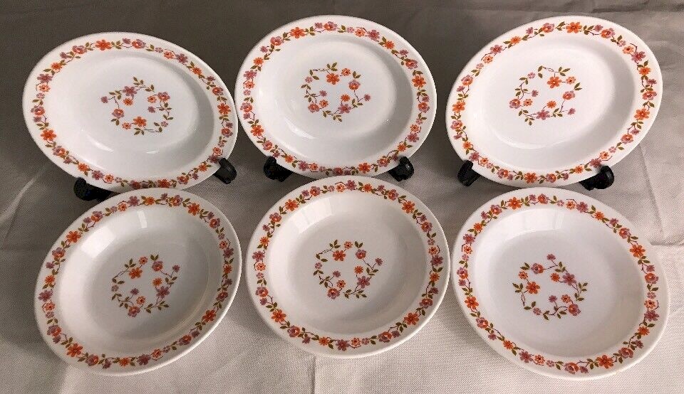LOT DE 6 Assiettes A Dessert Arcopal Scania Fleurs Orange Annees 70 EUR