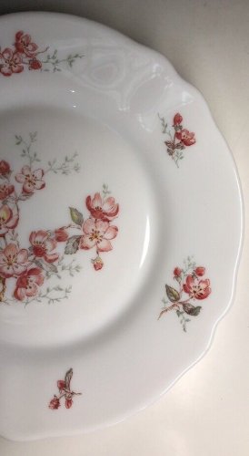  Lot42 De 6 Petites Assiettes Plates Vintage Arcopal France D 19,5Cm Décor Floral