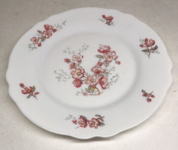  Lot61 : 6 Petites Assiettes Plates Vintage Arcopal France D 19,5 Cm Décor Floral