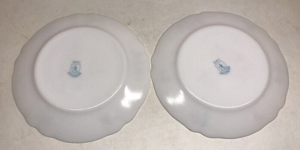  Lot61 : 6 Petites Assiettes Plates Vintage Arcopal France D 19,5 Cm Décor Floral