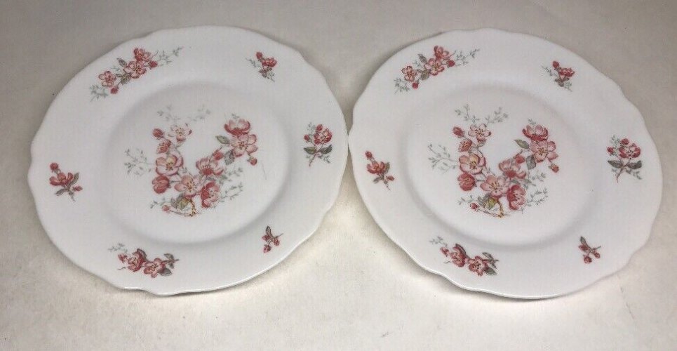  Lot61 : 6 Petites Assiettes Plates Vintage Arcopal France D 19,5 Cm Décor Floral