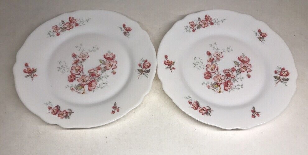  Lot61 : 6 Petites Assiettes Plates Vintage Arcopal France D 19,5 Cm Décor Floral