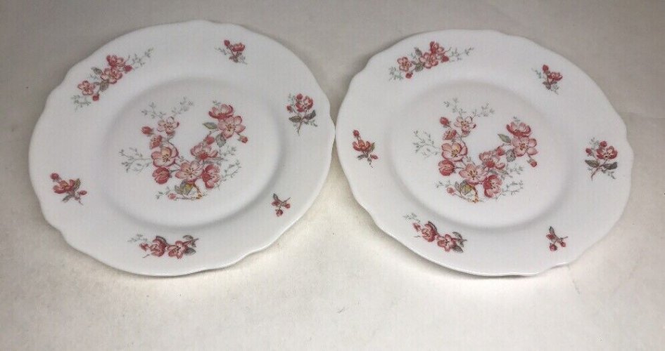  Lot61 : 6 Petites Assiettes Plates Vintage Arcopal France D 19,5 Cm Décor Floral