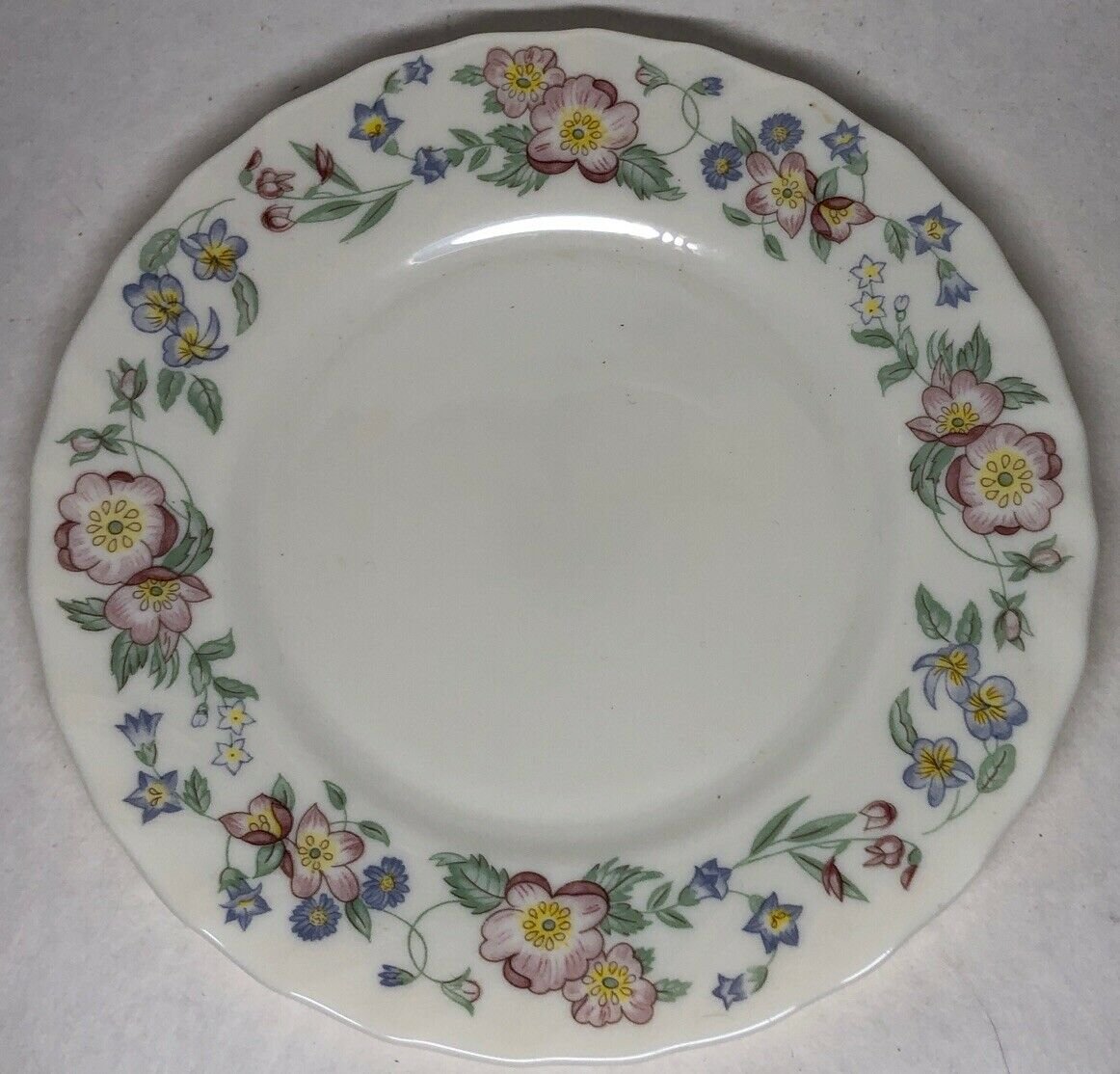 Lot De 6 Assiettes Plates Arcopal Vintage Motif Mint, 20cm, Made In France