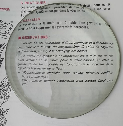 Loupe en verre