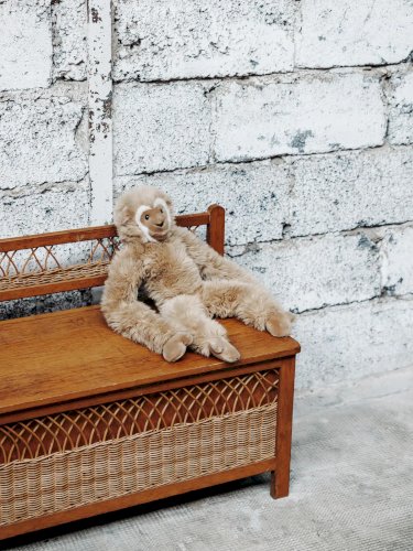 Lucien, le coffre en bois et rotin N°62