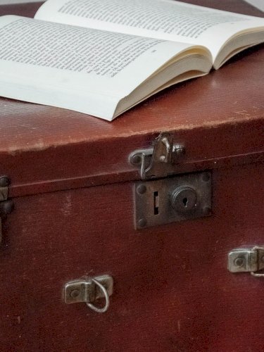 Lucienne, la grande malle carrée N°219