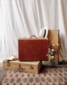 Lucienne, la malle marron cartonnée N°195