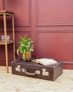 Lucienne, la malle vintage N°155