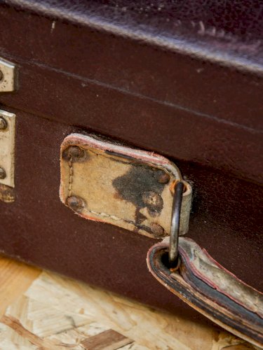 Lucienne, la malle vintage N°155