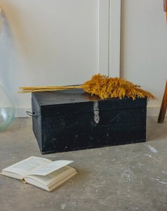 Lucienne, the small wooden trunk No. 265