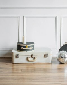 Lucienne, the beige suitcase No. 96