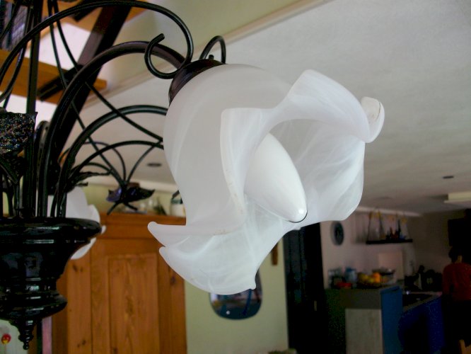 LUSTRE 5 BRANCHE RELOOKE