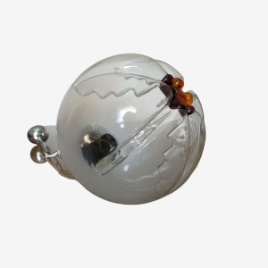 dot