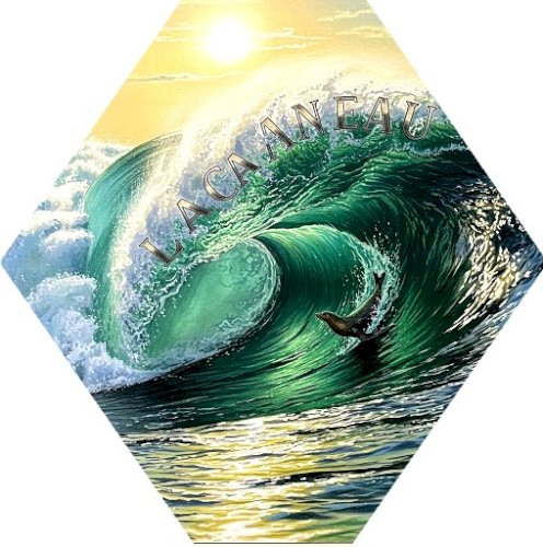MAGNET LACANAU OCEAN, CHAMPIONATS DU MONDE DE SURF