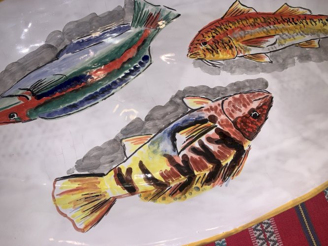 Magnifique grand plat à poisson en céramique signé Brescon Martigues