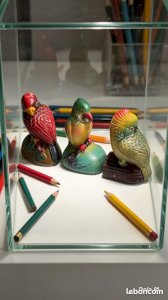 magnifique lot taille crayons perroquet ancien