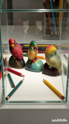 magnifique lot taille crayons perroquet ancien