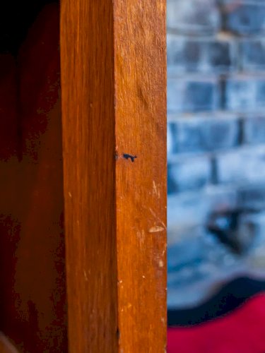 Maïa, la table de chevet en bois N°252