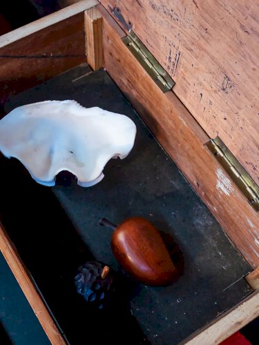 Maïa, la table de chevet en bois N°254