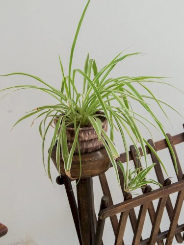 Marius, le porte-revues en bois N°184