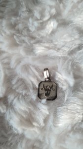 Taurus silver astrological medal