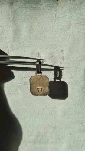 Médaille astrologique en argent taureau