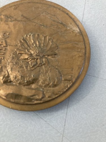 Médaille Bronze Les Cactus Art Daniel David Monnaie De Paris 1980