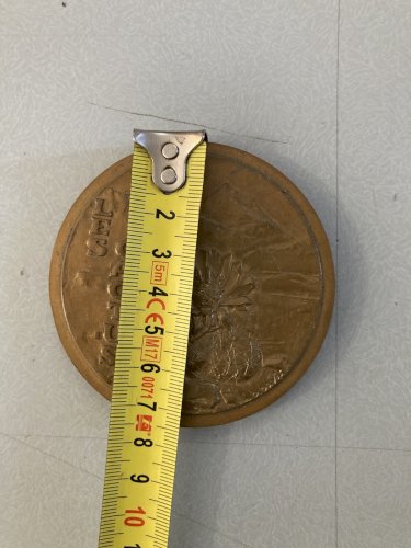 Médaille Bronze Les Cactus Art Daniel David Monnaie De Paris 1980