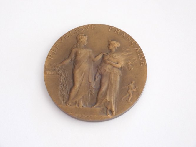 -MÉDAILLE BRONZE MINISTERE de l'Agriculture Statistique AGRICOLE Alphée DUBOIS D