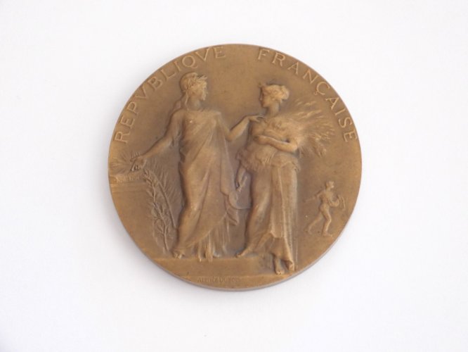 -MÉDAILLE BRONZE MINISTERE de l'Agriculture Statistique AGRICOLE Alphée DUBOIS D