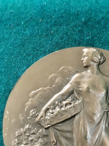 MEDAILLE DE TABLE EN BRONZE OFFERTE PAR OLIVIER DE SARNEZ N°158
