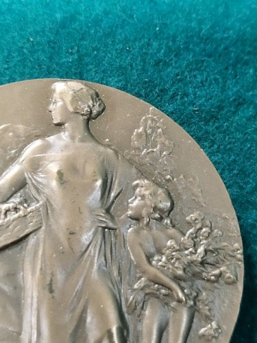 MEDAILLE DE TABLE EN BRONZE OFFERTE PAR OLIVIER DE SARNEZ N°158
