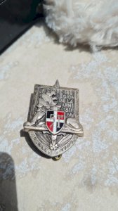 Medal - insignia 51st infantry regiment Drago Paris