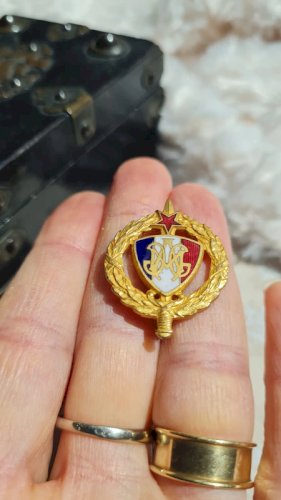 Médaille - insigne Mutilé de guerre